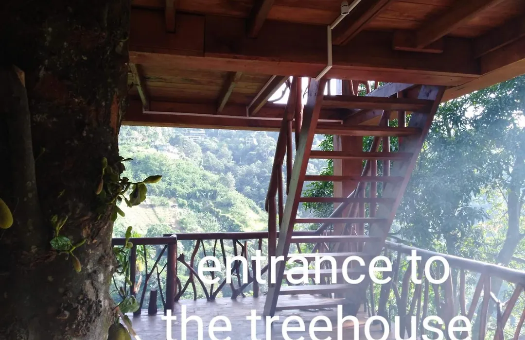 Ella Treehouse-1