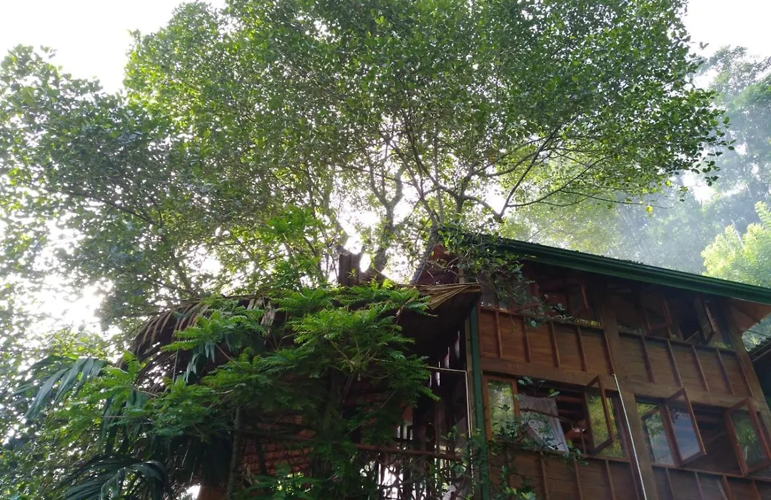 Ella Treehouse-1