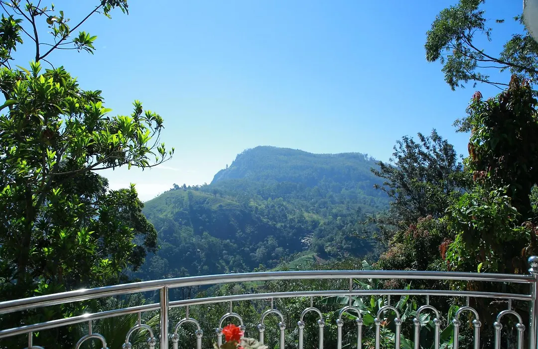 Vista Vinrich Heaven-1