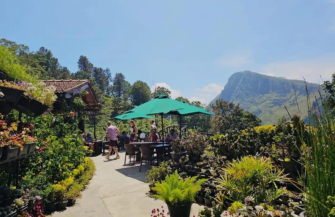 Ella Flower Garden Resort-1