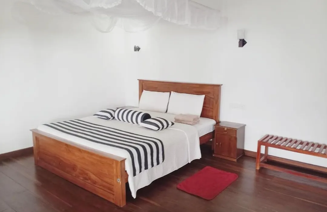 Blue Ribbon Homestay-1