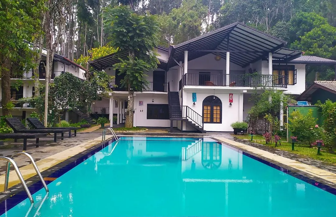 Ella Forest Paradise Hotel-1