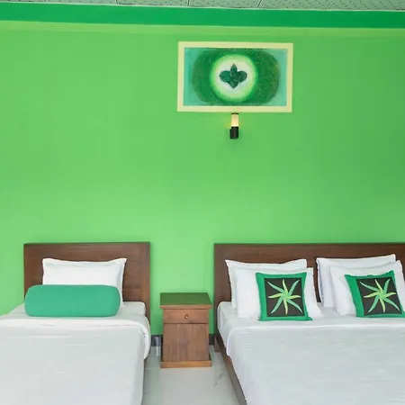 Cool Mount Resort-2