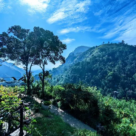 Lavendra Paradise-2