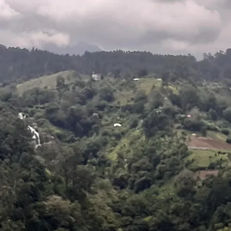 Ella Floating View-3