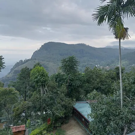 Oasis Ella-3