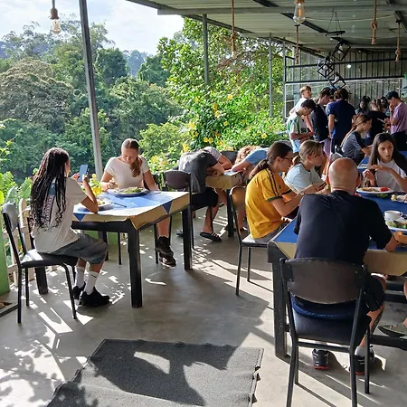 Green Peak - Mountain View Hotel & Restaurant-3