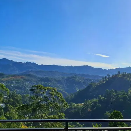 Shining Green View-3