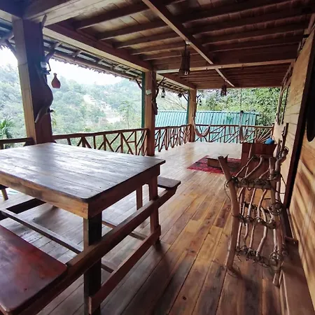 Ella Treehouse-2