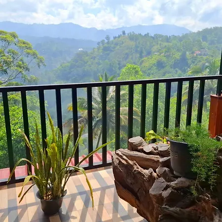 Shining Green View-2