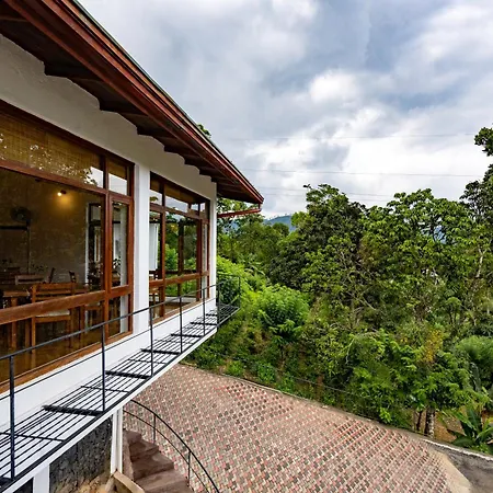 Alta Vista-3