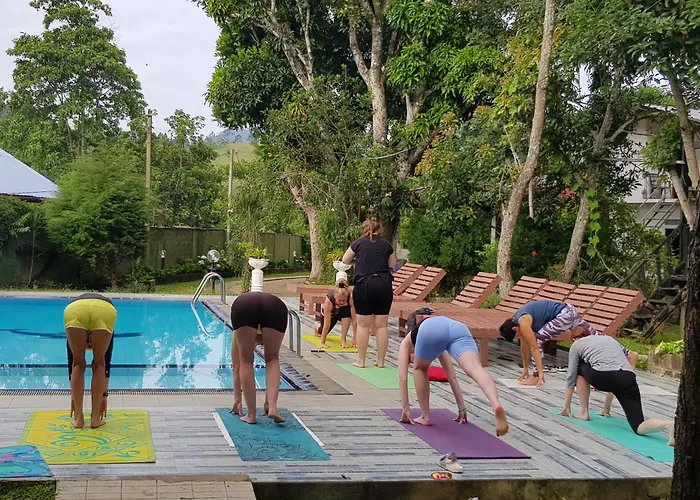 Ella Forest Paradise Hotel