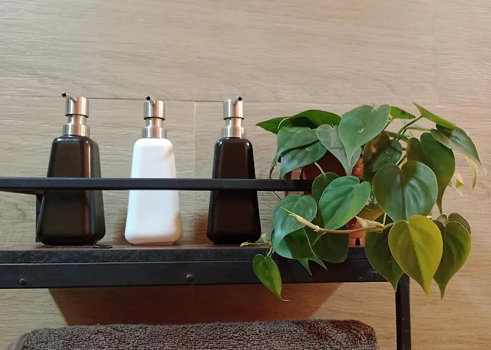 Lush In Ella Hotel