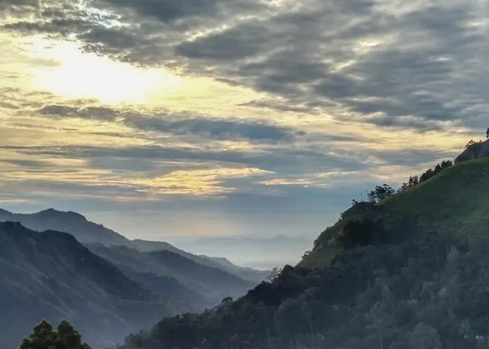 New Ella Nature View