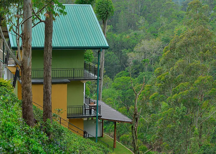 Tea Hills Ella Hotel