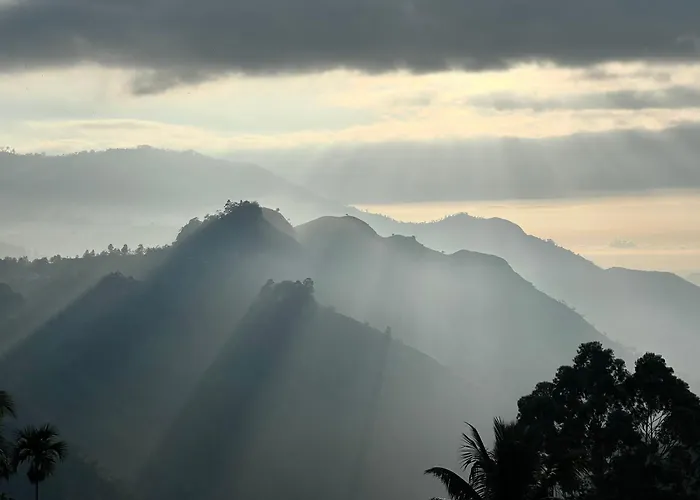 Blooming Rose Ella Hotel