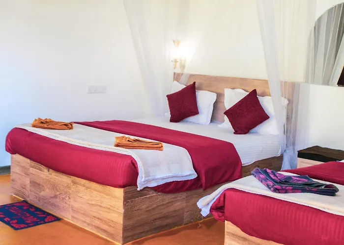 Trailside Ella-Your Gateway To Ella Rock